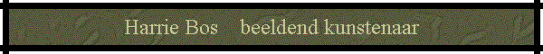 Harrie Bos    beeldend kunstenaar